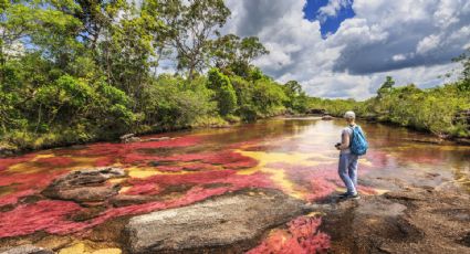 Caño Cristales, el paraíso natural multicolor que debes conocer en Colombia