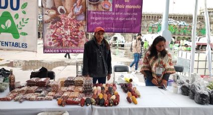 ¡Es hoy! Arranca la Feria del Maíz y la Milpa con actividades imperdibles en el Zócalo