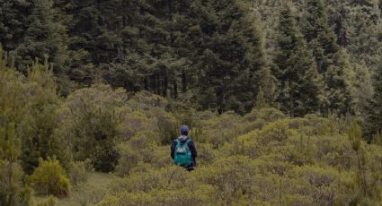 Bosque Otomí-Mexica, el paraíso natural a dos horas de CDMX