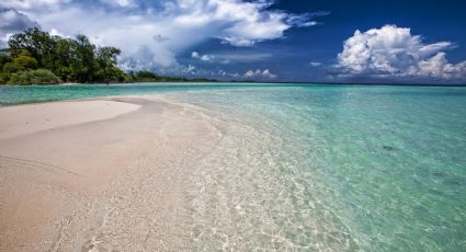 3 actividades imperdibles en Playa del Carmen, el más seductor de los destinos del Caribe