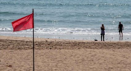 ¿Qué significa la colocación de banderas rojas en las playas de Puerto Vallarta?