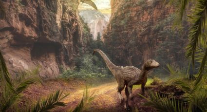 Rocas del Valle Narmada, India, resultan ser huevos del dinosaurio más grande en el mundo