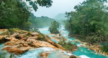 Paraíso terrenal: 10 tesoros naturales de Chiapas para descubrir en tu próximo viaje