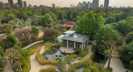 ¿Sin planes para el finde? Cómo llegar al Anfibium, Museo del Ajolote en Chapultepec