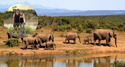 Chris Hemsworth muestra impresionante encuentro con elefante en Kenia