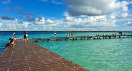 ¡Ya está listo! El primer Ecoparque de Bacalar que ofrece un recorrido entre el manglar