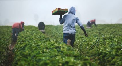 ¡Hay chamba! La Embajada de EU busca Especialista en Agricultura con sueldo de un millón de pesos