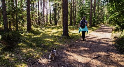 5 sitios pet friendly para vacacionar en la Huasteca Potosina con tu mascota