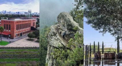 Parques naturales poco conocidos dentro de CDMX para conectar con la naturaleza