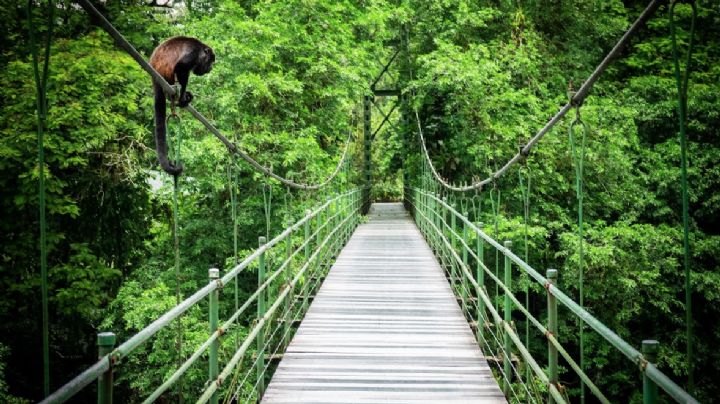 Costa Rica: Una semana en el rincón más verde del planeta