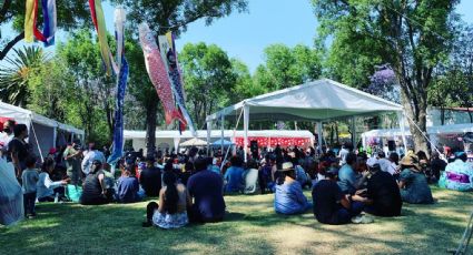 Llega el Festival Akitmatsuri 2023, el más grande de cultura y gastronomía japonesa en CDMX