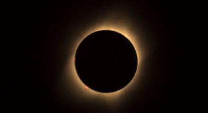 Eclipse solar 2023: Cómo proteger la visión de tu mascota mientras se oscurece el día