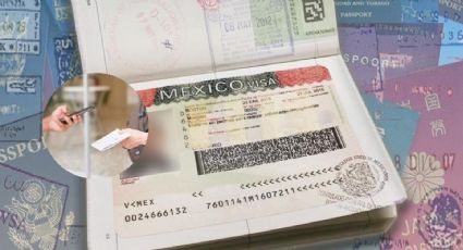 Visa digital para EU: ¿Podré tramitar este nuevo documento para hacer viajes de turismo?