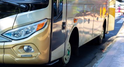 ¡Video viral! Esta es la línea de autobuses que te lleva a destinos de Centroamérica desde México