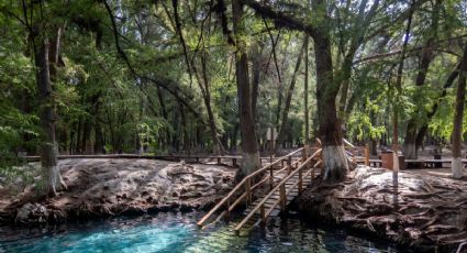 Visita el balneario GRATUITO en Hidalgo con más de 15 albercas rodeadas de naturaleza