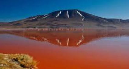 El lago natrón de Tanzania que convierte en estatuas a los animales