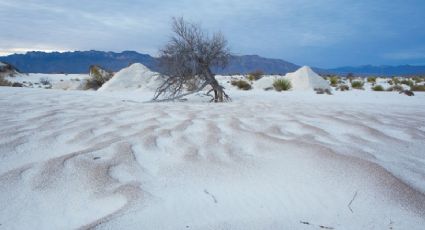 El único desierto blanco de yeso de México que te hará vivir una experiencia única