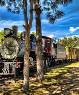 Tren Interoceánico: ¿En cuánto tiempo podrás ir de Veracruz a Oaxaca?