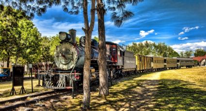 Tren Interoceánico: ¿En cuánto tiempo podrás recorrer de Veracruz a Oaxaca por esa vía?