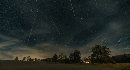 Fenómenos astronómicos de noviembre 2023 ¡No te pierdas la Lluvia de estrellas Leónidas este mes!