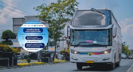 SOS Acapulco: Las líneas de autobús que ofrecen viajes gratis a la CDMX ante el paso de Otis