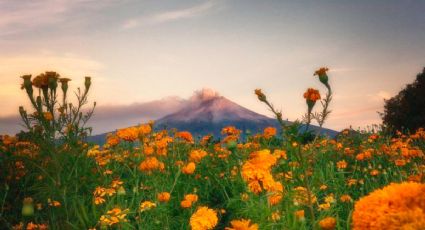 Destinos imperdibles para celebrar el Día de Muertos en México