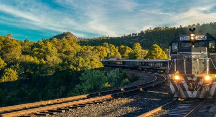 ¡No solo el Tren Maya! Conoce TODOS los trenes disponibles en México para recorrer el país