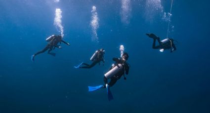 Buzos son sorprendidos por TERREMOTO debajo del mar y graban en VIDEO el espectáculo natural