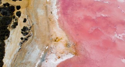 ¿Jalas? Las playas semivírgenes de las Coloradas en Yucatán para disfrutar un fin de semana