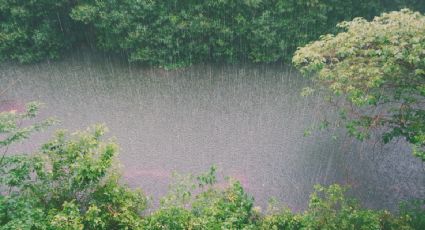 Lluvias en Guerrero y Oaxaca este lunes 20 de noviembre por la llegada del FRENTE FRÍO número 11