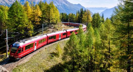 El Jarocho: Estas son las ciudades que conectará la ruta del nuevo tren de pasajeros