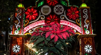 ¡Decora tu hogar! ¿Cuándo inicia el Festival de Flores de Nochebuena en la CDMX?