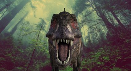 Universum prepara exposición para 'redescubrir' a los dinosaurios: Te contamos los detalles