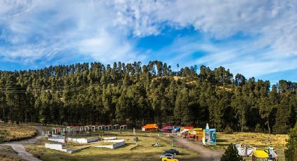 ¿Cómo llegar al Parque de los Venados desde la ciudad de Toluca para ver la nieve?