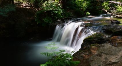 Balnearios de aguas termales en el bosque para disfrutar el inicio del 2024