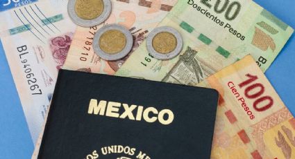 Pasaporte mexicano: 3, 6 o 10 años, ¿cuál documento te conviene tramitar para ahorrar dinero?