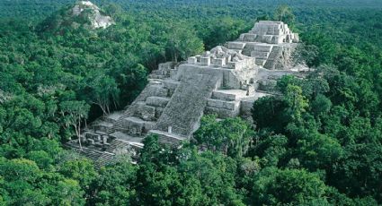 Esta es la reserva de protección más grande que tendrá México en la ruta del Tren Maya