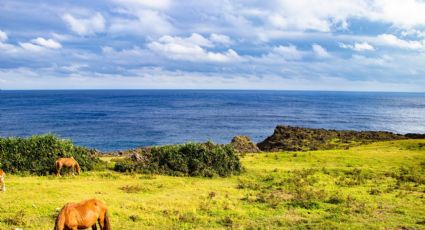 Esta es la isla japonesa que resguarda el secreto de la eterna juventud, ¿la visitarías?