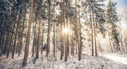Jocotitlán, el bello destino a una hora de CDMX para disfrutar de las primeras nevadas de 2023