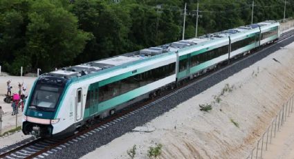 ¡Aún estás a tiempo! Tren Maya abre vacante de 11 mil pesos y así puedes postular