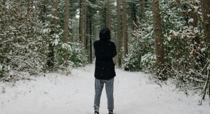 Creel, el Pueblo Mágico ideal para disfrutar de la nieve en sus bellos bosques