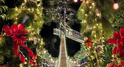 ¡La Navidad llega al puente colgante iluminado más bonito! Escápate esta temporada a Oaxaca