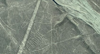 ¡Impresionante! Descubren nuevas Líneas de Nazca que maravillan a Perú