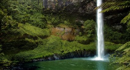 ¡Paisaje imperdible! 4 impresionantes cascadas rodeadas por barrancos en un Pueblo Mágico de Hidalgo