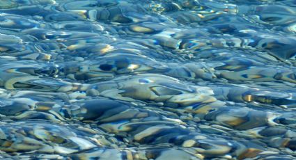 ¡Paraíso único! Conoce la playa hecha de cristal en las costas de California