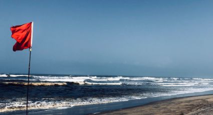¡Alerta! Playas de Baja California Sur con bandera amarilla y roja, ¿cuáles son las afectadas?