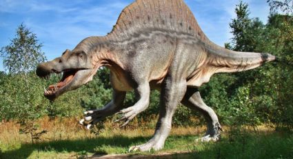 ¡Dinosaurios de 22 metros de altura en México! Dinolandia: el lugar para caminar con estos gigantes