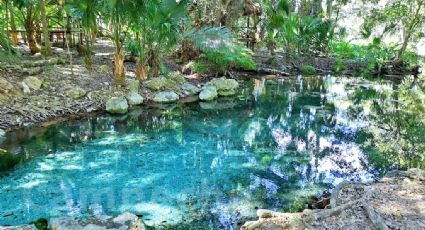 ¡No estás soñado! El paraíso existe y está en Ich Ha Lol Xaan, el ojo de agua de Campeche