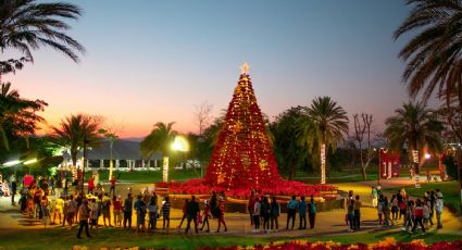 ¿Recorrido iluminado? Jardines de México instala una villa navideña imperdible en Morelos