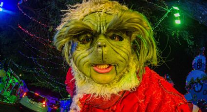 El Pueblo Mágico donde encontrar al Grinch más viral de TikTok en esta Navidad